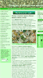Mobile Screenshot of capitalcredit.ru